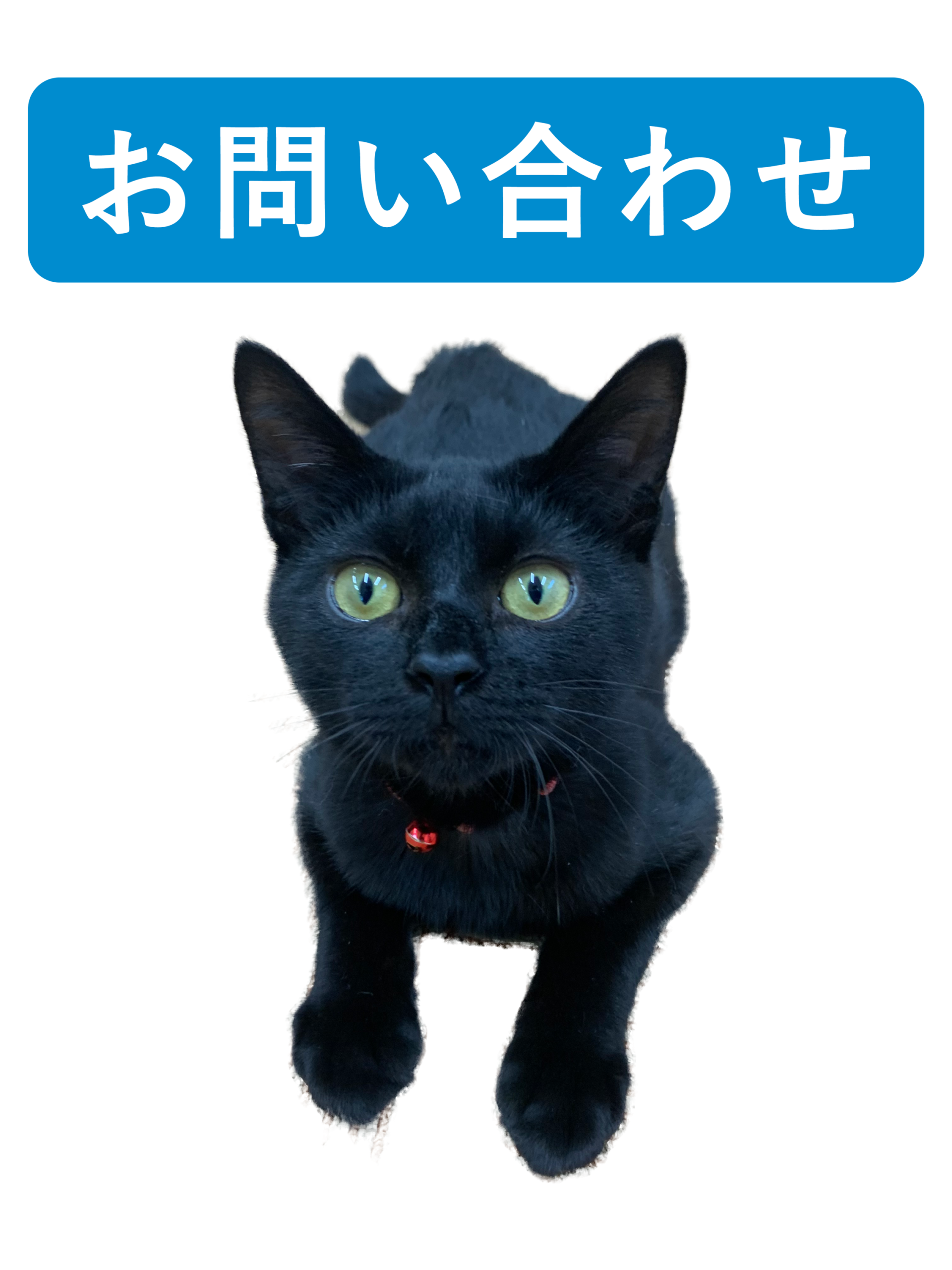 お問い合わせバナー